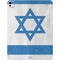 Israel Flag Distressed iPad Pro 13in M4 (2024) Skin